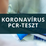 Így működik a koronavírus PCR-teszt